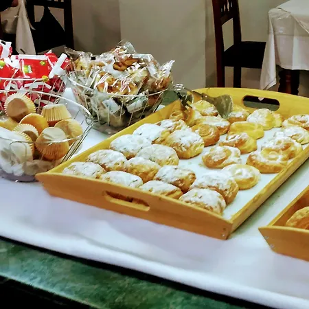 克里什塔尔酒店 酒店